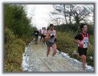 IMG_6072 * 1600 x 1200 * (445KB)