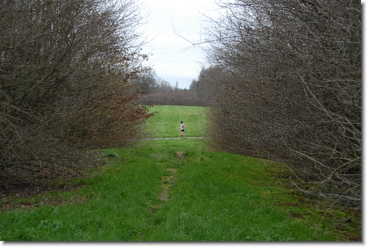 Diapositive suivante